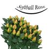 softball