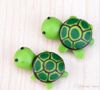option 7 black green turle