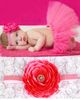 rose red (no ribbon bow)