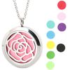 rose flower