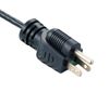 110v US Plug