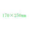170 x 250mm