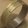 Antique Bronze