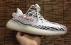 Zebra White