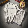 DS82 gray