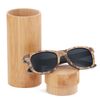 Grey lens with case 1