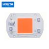 30W AC220V
