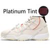 #03 High Platinum Tint