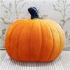 Pumpkin35*30cm