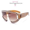 Brown Frame Brown Lens
