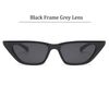 Black Frame Grey Lens