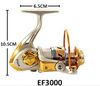 EF3000