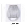 Silver United States 8inches