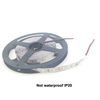 5m Strip Not waterproof