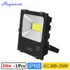 50W Balck Light