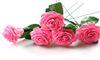 Pink A
