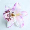 Metal color:White Pink