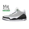 chlorophyll