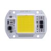 White 25W 110V