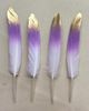 Color:Purple and white