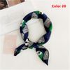 Color 20 Scarf