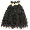 Kinky Curly