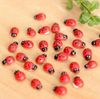 Coccinella Septempunctata
