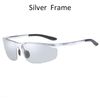 Silver Frame