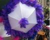 Purple feather