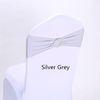 Silver Gray