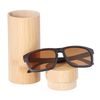 Brown lens with case 2