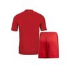 Home kit no socks 1