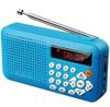 Blue Telescopic Antenna