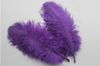 Color:purple