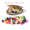 30pcs pearls/oyster
