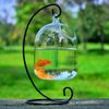 fish bowl with Black hang