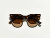 tortoise+polarized brown