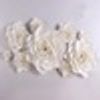 Ivory 9Pcs