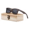 black lens with case2