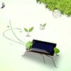 grasshopper