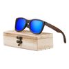 blue lens with case