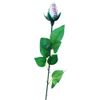 baseball rose