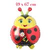 Huge ladybird