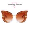 Brown Frame Brown Lens