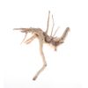 Small 10-20cm