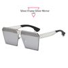 Silver Frame Silver Mirror