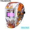 Silver Skull