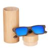 blue lens with case