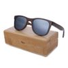 Silver lens wtih case 2