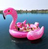 Pink flamingo float